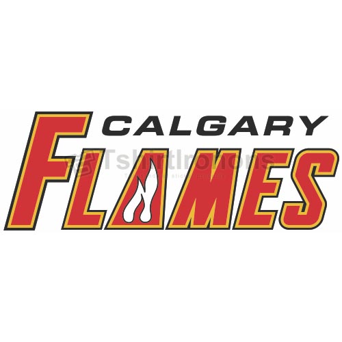 Calgary Flames T-shirts Iron On Transfers N96 - Click Image to Close